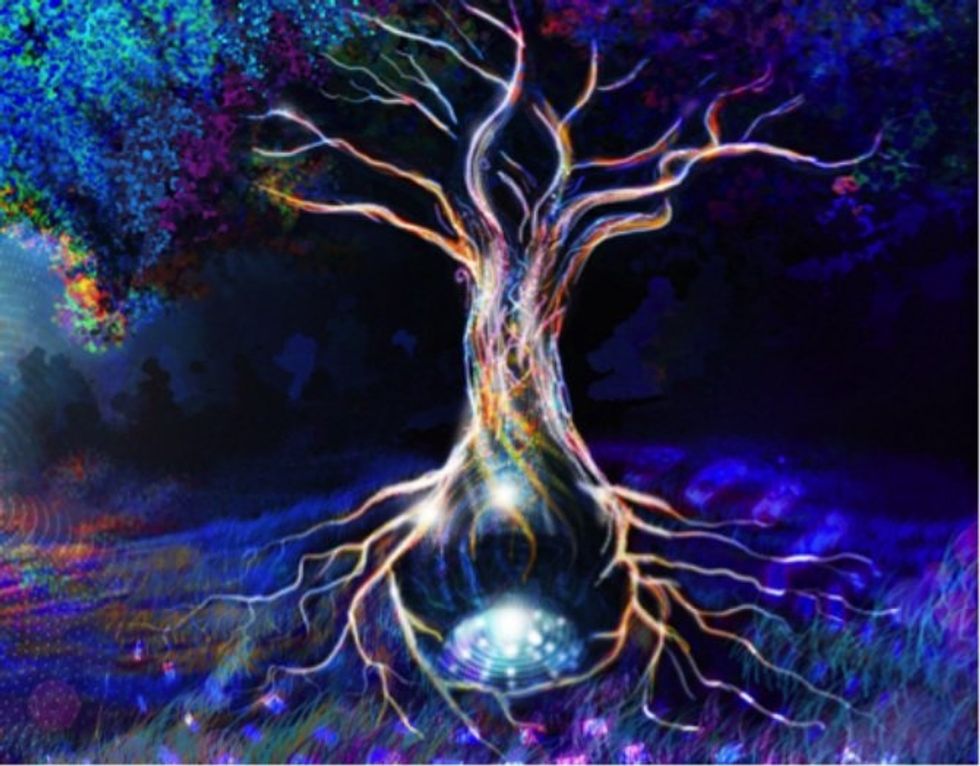 7 Ways To Help the Environment (For Free!)