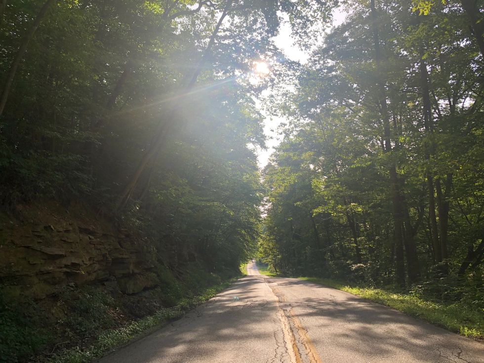 Review- West Virginia 101: Dummies Guide to WV Slang