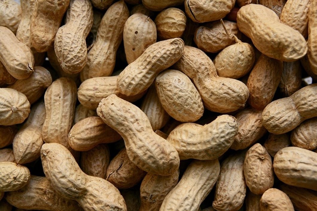 10 Of The Best Ways Peanuts Have Contributed To Society