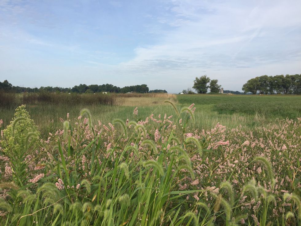 11 Things No One Tells You About The Post-Graduation Life