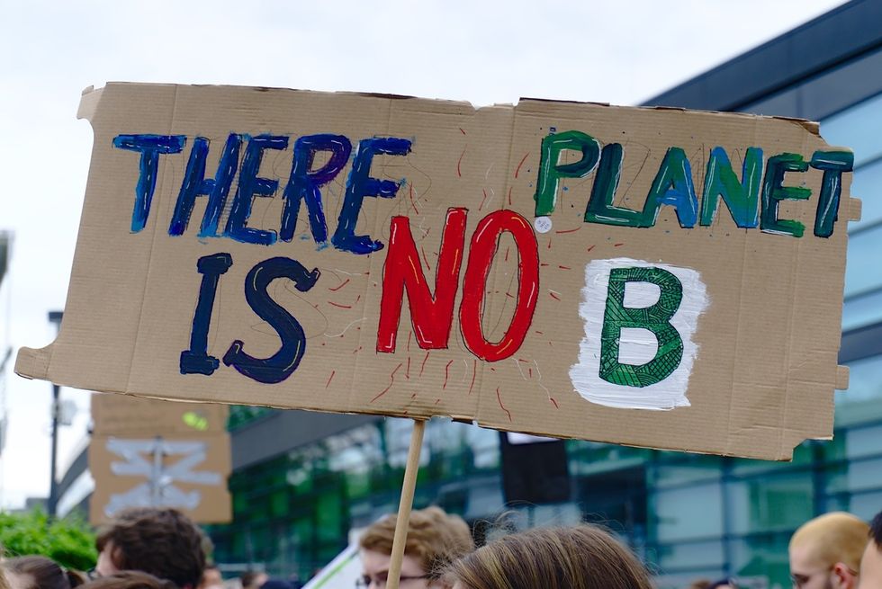 The Climate Strike and it's impact