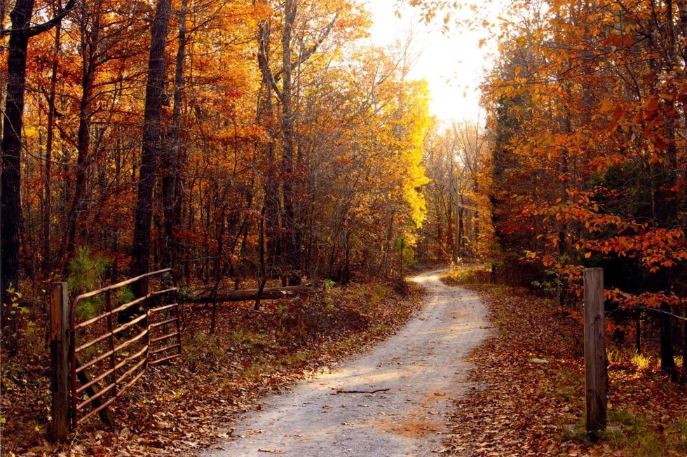 Fall 2019 Trends You Can Expect In The Coming Months