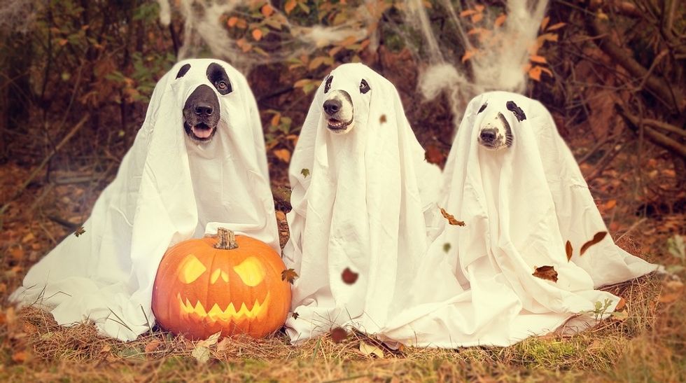 10 Reasons I'm Excited For Halloween
