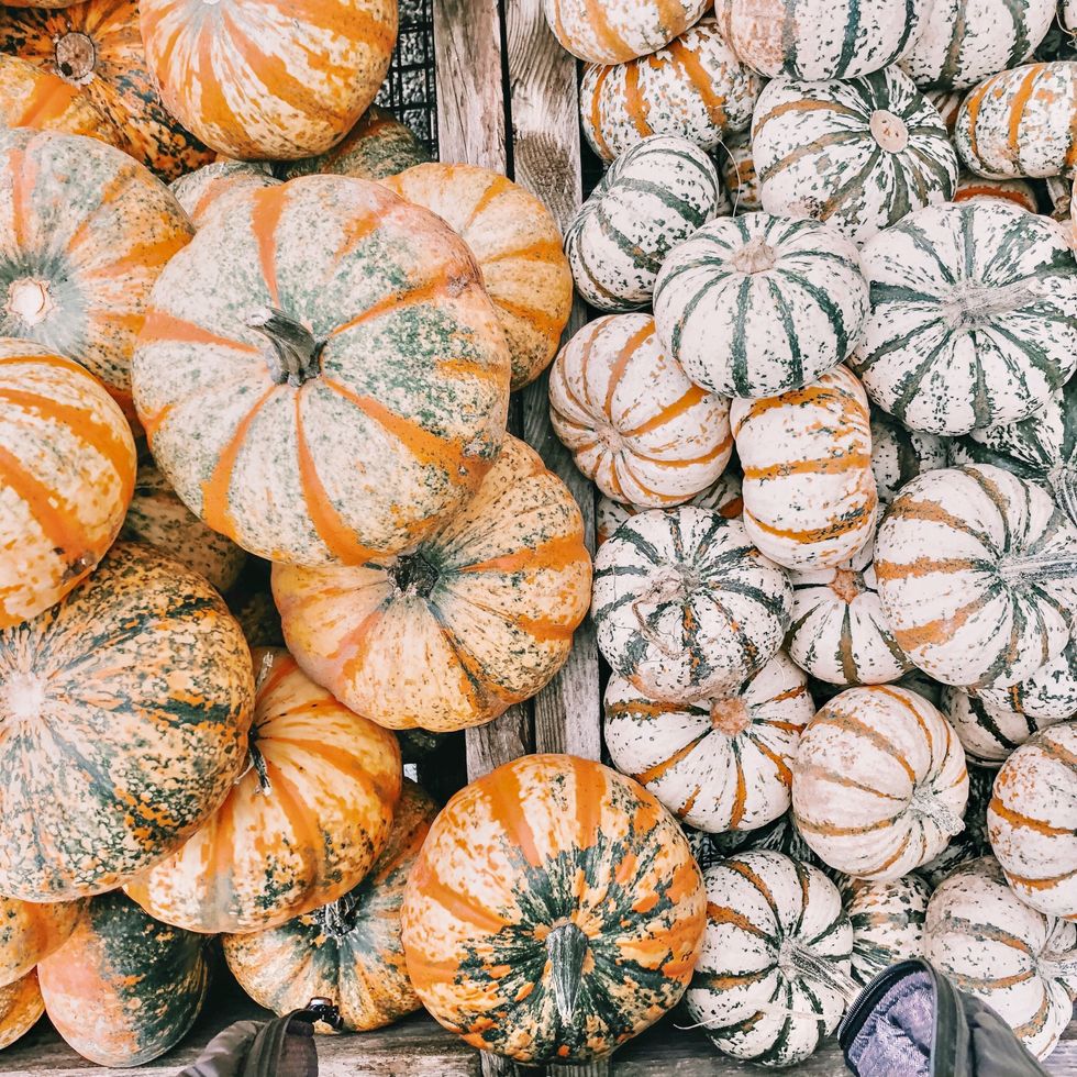 6 Reasons Fall Is The Best Season Of All