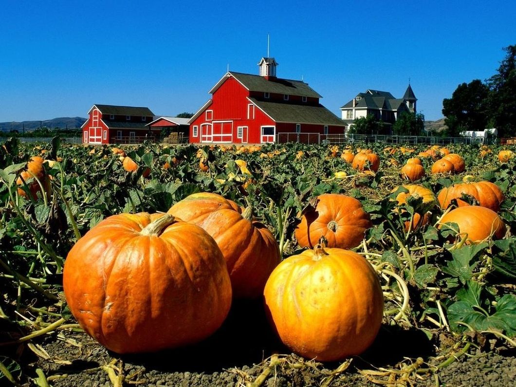 9 Things To Do In The Fall