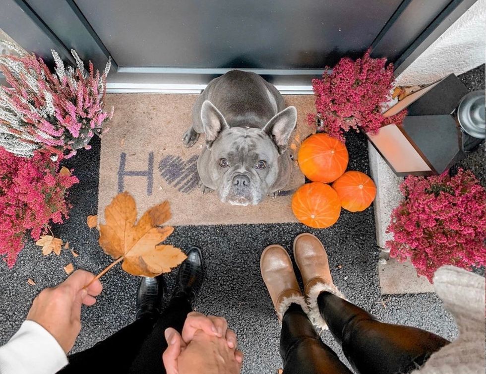 My Forever Fall Favorites You Just Can't Live Without