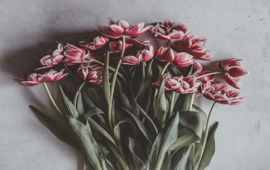 For All My Ennegram 6's