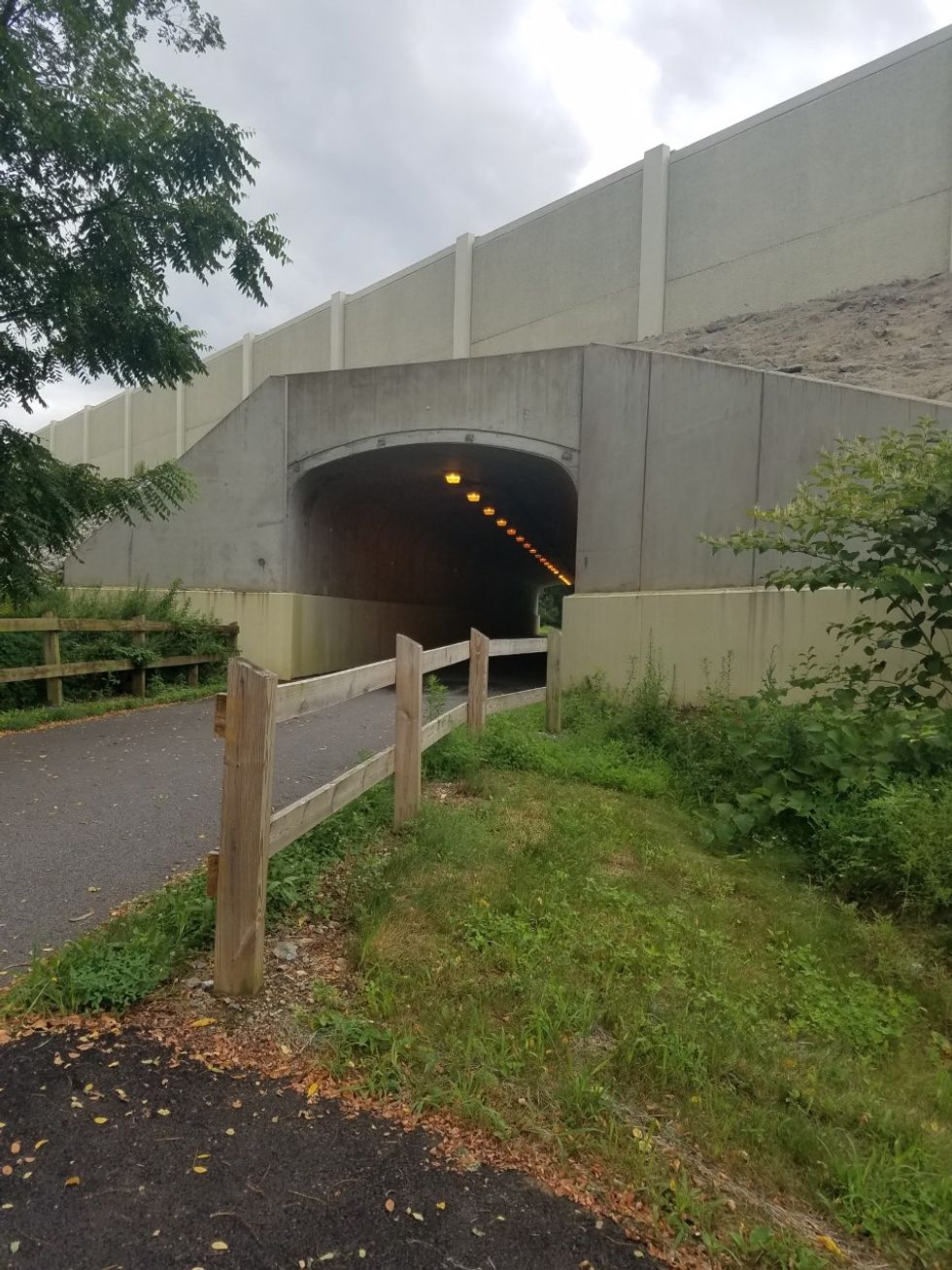 Fiction On Odyssey: The Quiet Car Of The Train