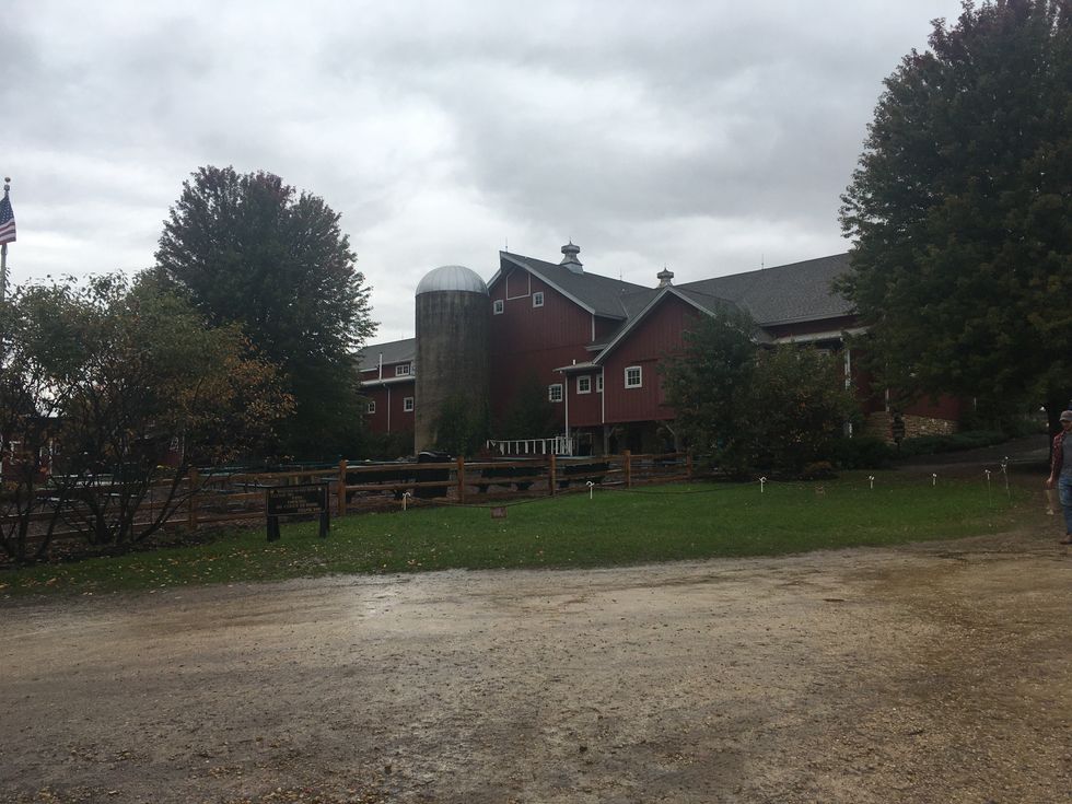 7 Reasons Apple Orchards Are The Perfect Way To Celebrate Fall