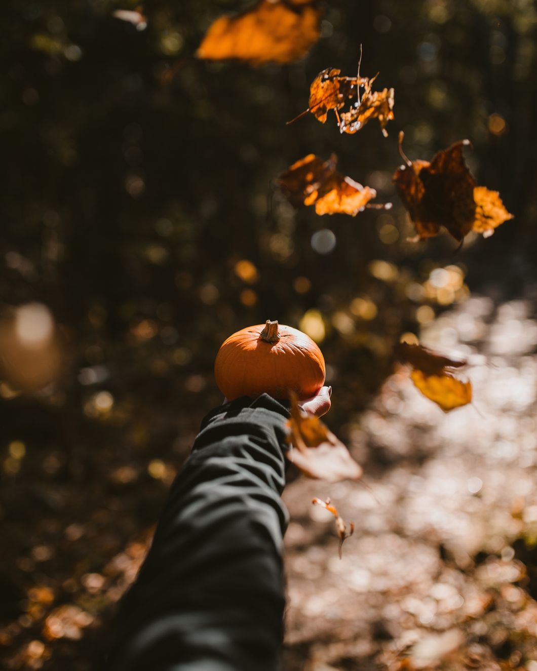 10 activites you can do this fall even if you're single