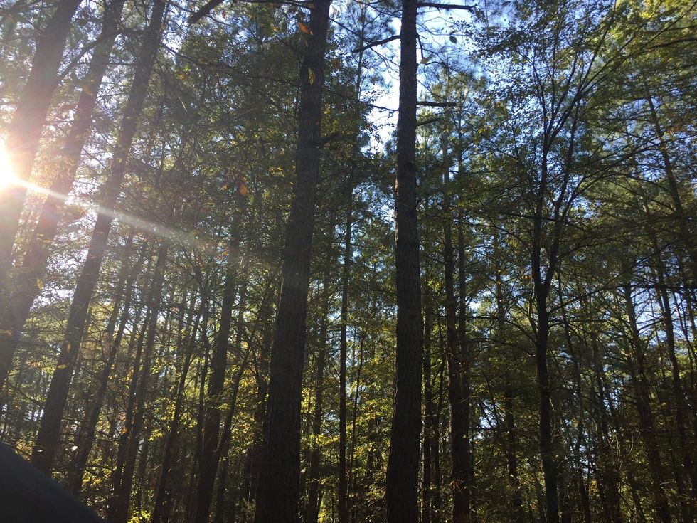 Fall Activities in the Raleigh Area