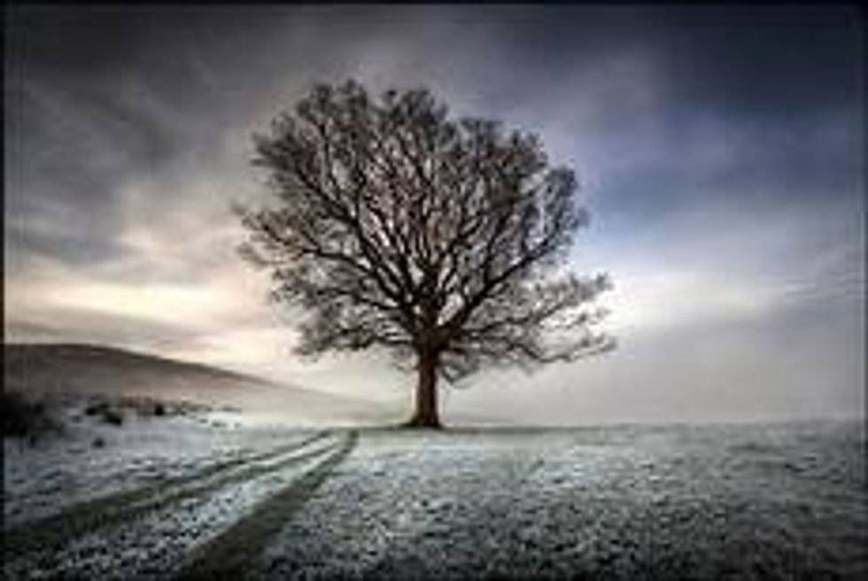 Modifications to Capitalism