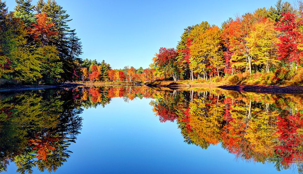 7 Things You Should Put On Your Fall Bucket List