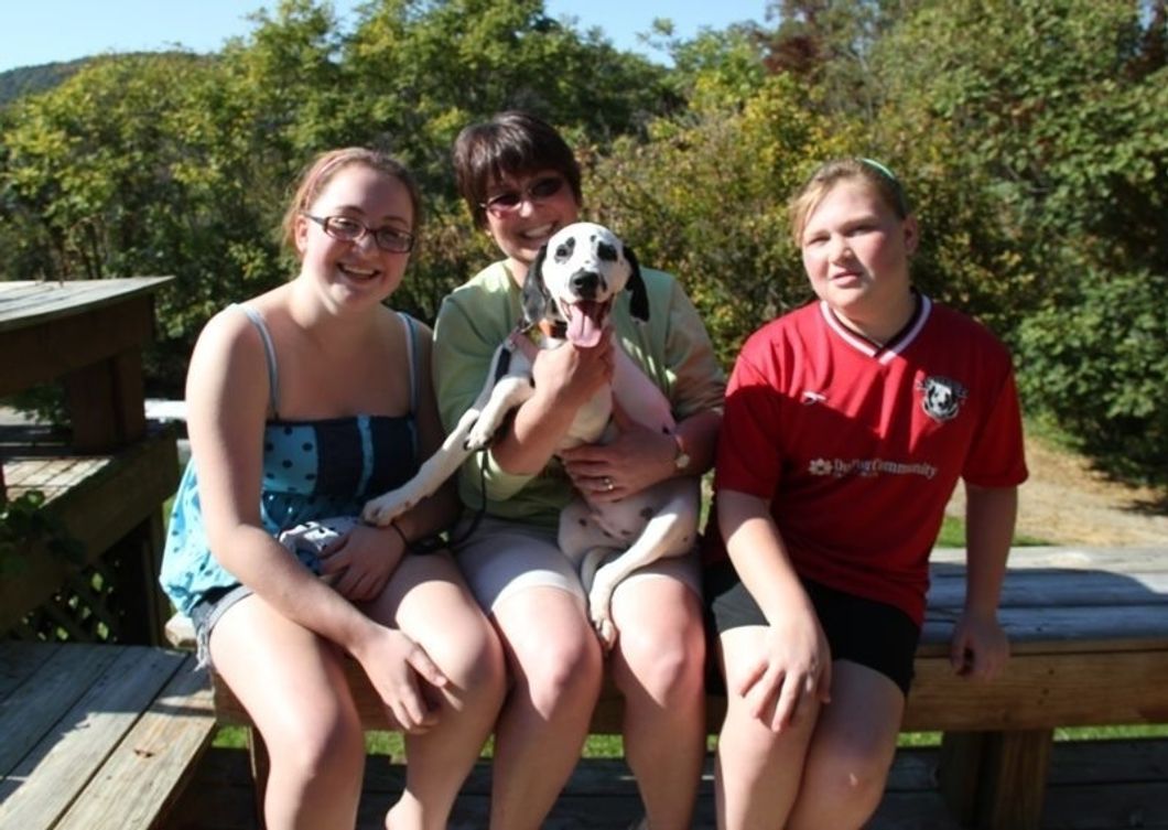 October Is Adopt A Shelter Dog Month