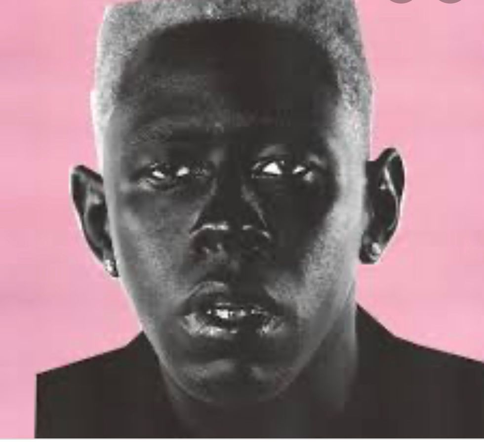 An overview of the Tyler the Creator concert