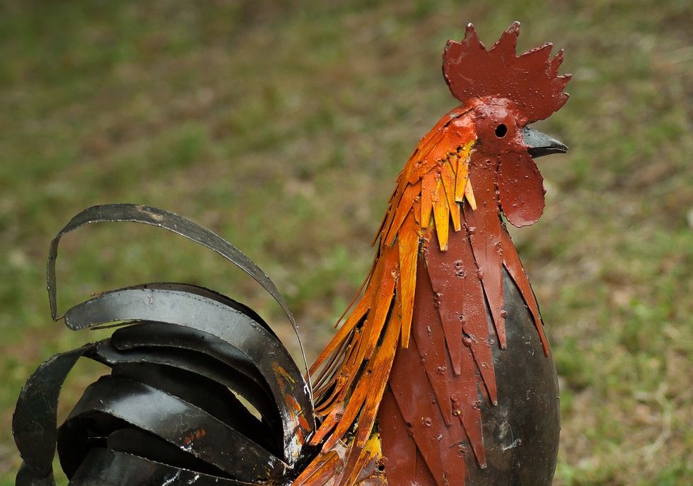 The Of Tale Of The Scavenger Hunt And The Metal Chicken