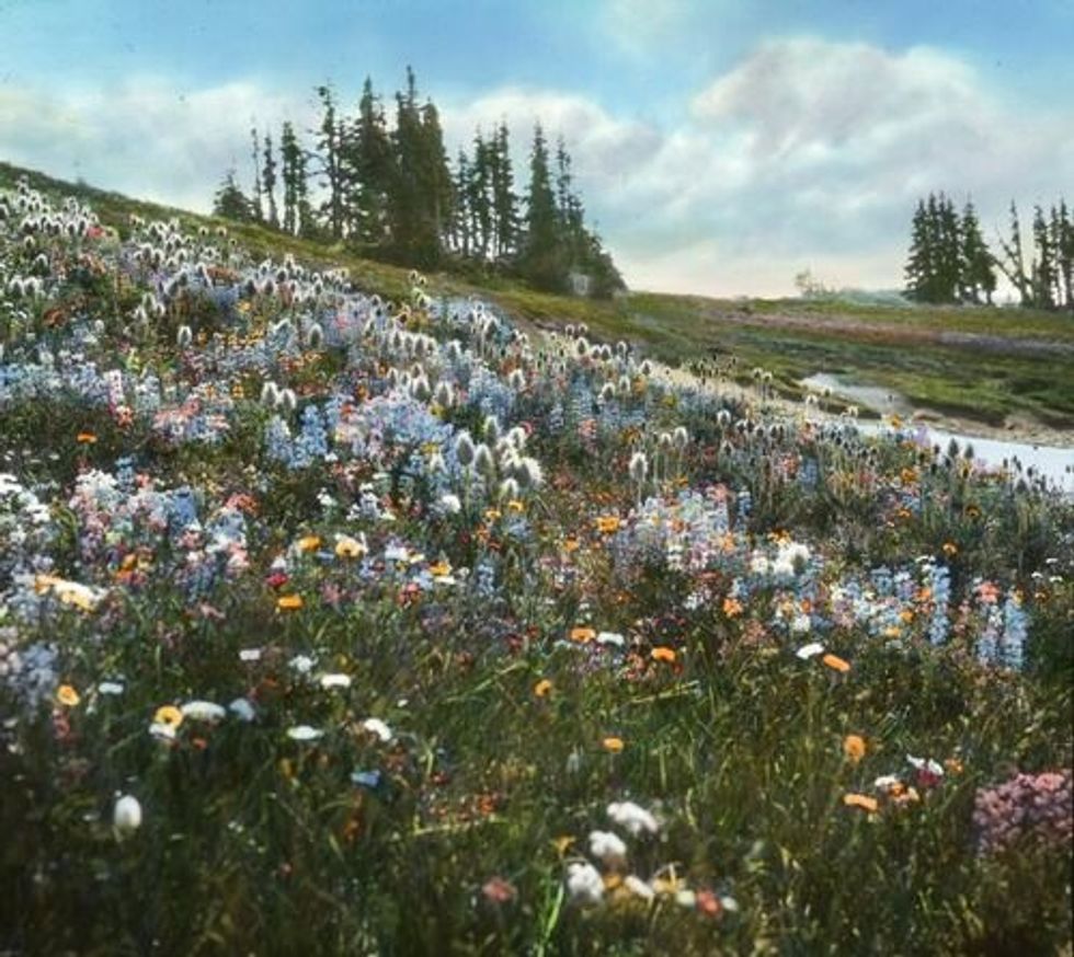 Five Self Care Ideas