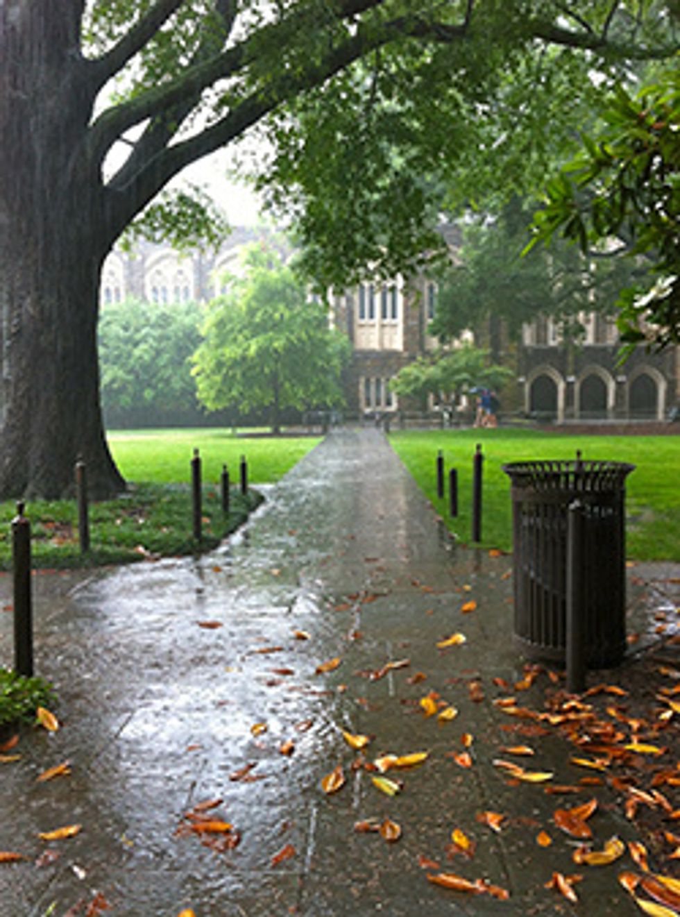 Things To Do When It Is Raining