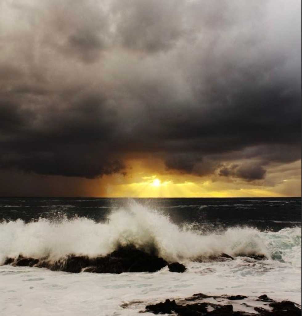 You will be genuinely happy... I promise.