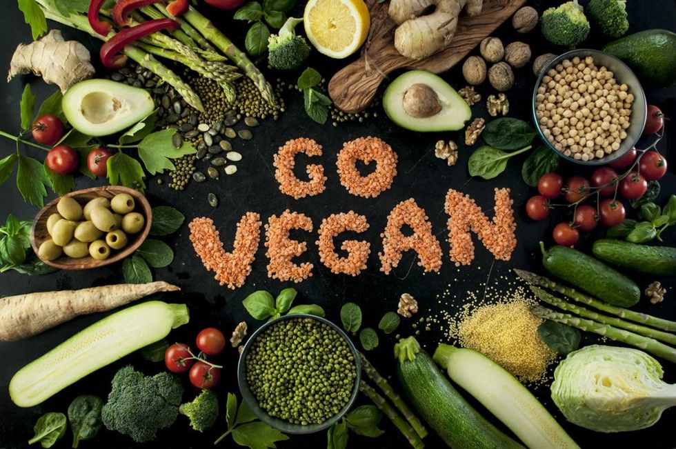 Why Going Vegan Can Help Animals, The Environment, And Yourself