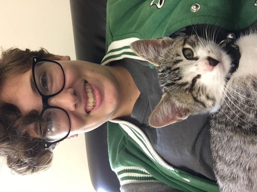 6 Tips For A First Time Cat Owner