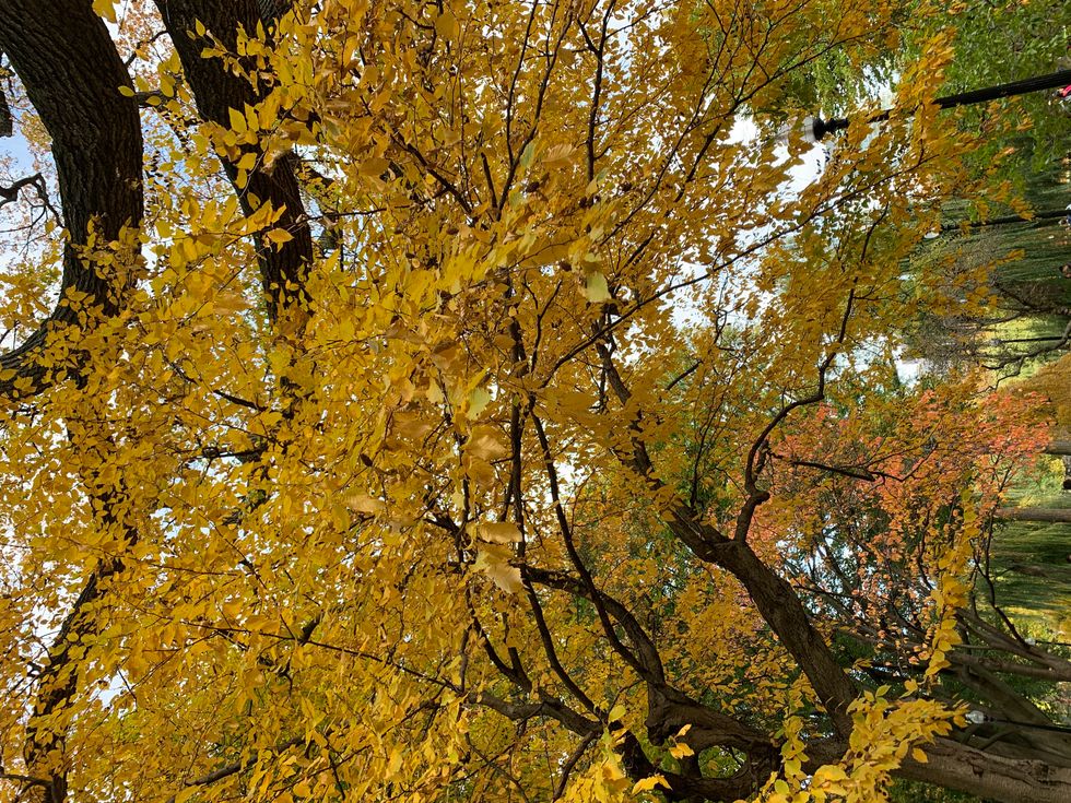 Don't take opportunities from yourself