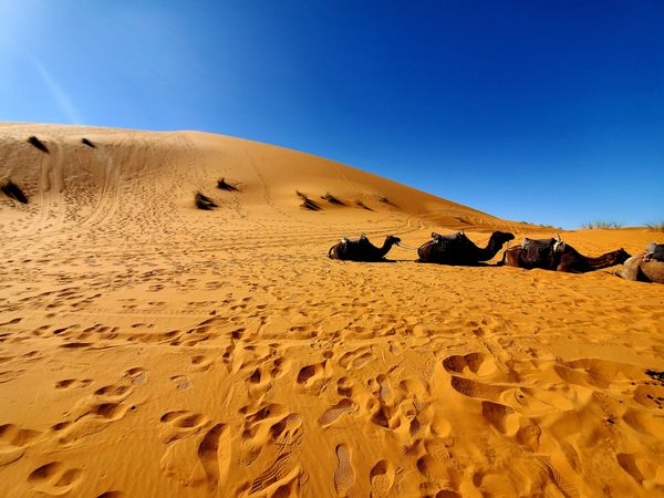 I Travelled To The Moroccan Desert On A School Trip, And, In The Middle Of Nowhere, I Found Myself