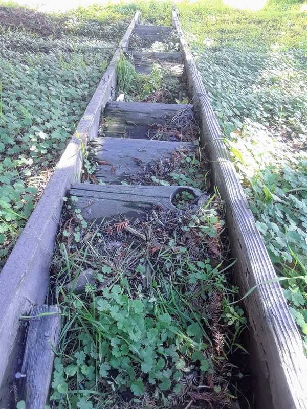 Mental Health: A Story About Stigma and Oppression