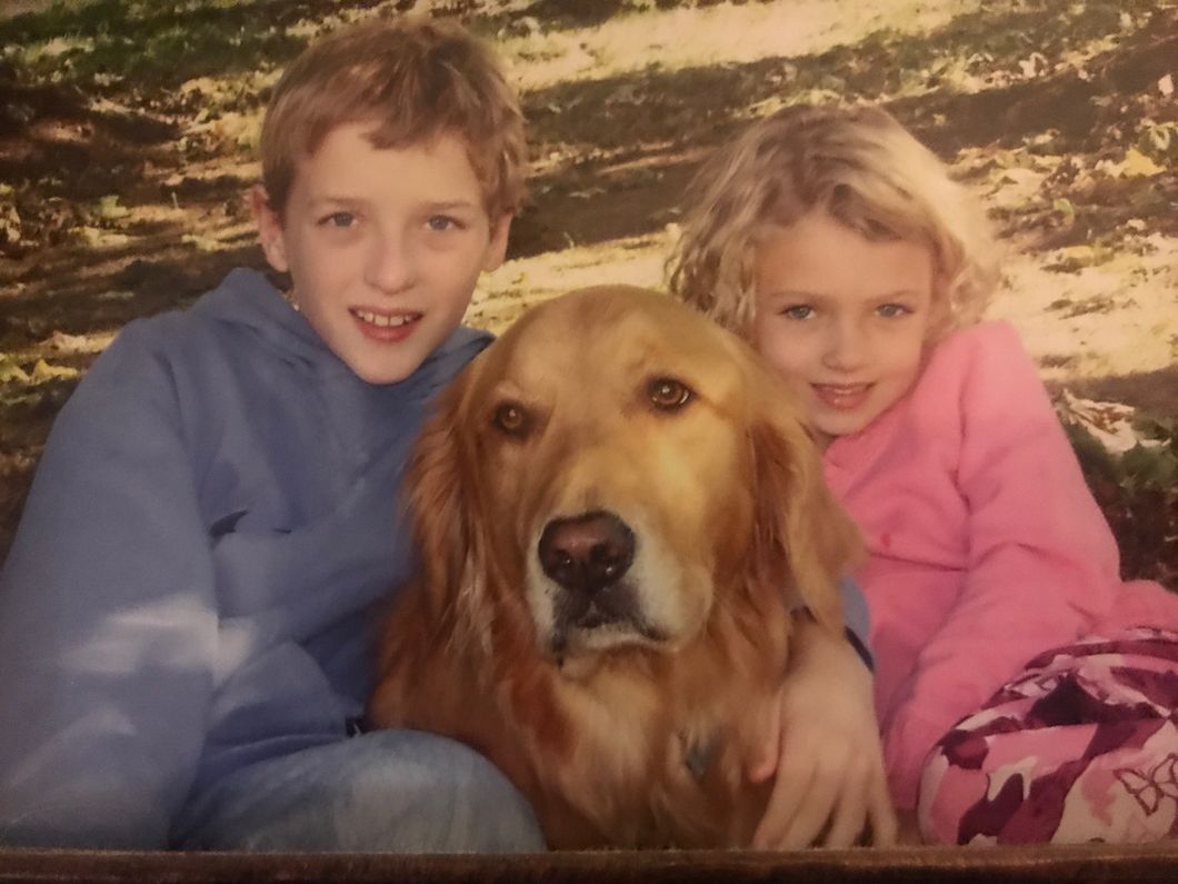 To My Dog In Heaven, I Will Never Forget You