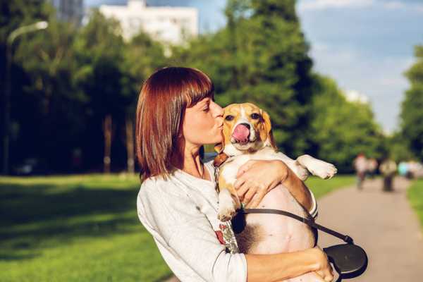 50 Dog Names You Will Be Inspired To Use After Bingeing Disney+, Besides The Usual Suspects