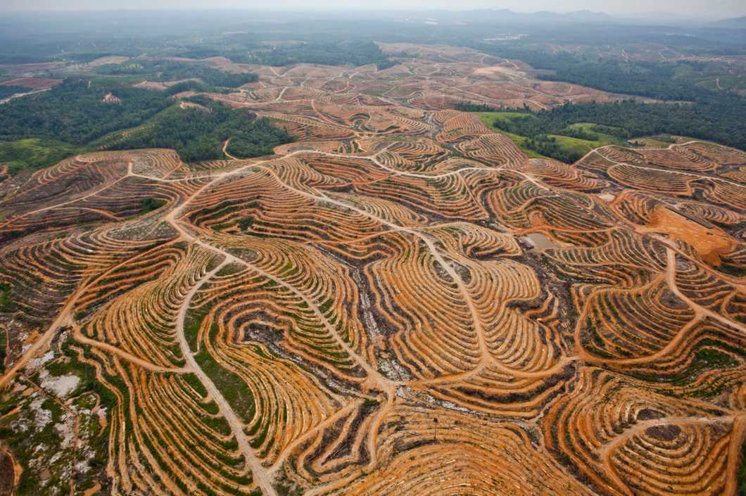 Where has Biodiversity Gone?