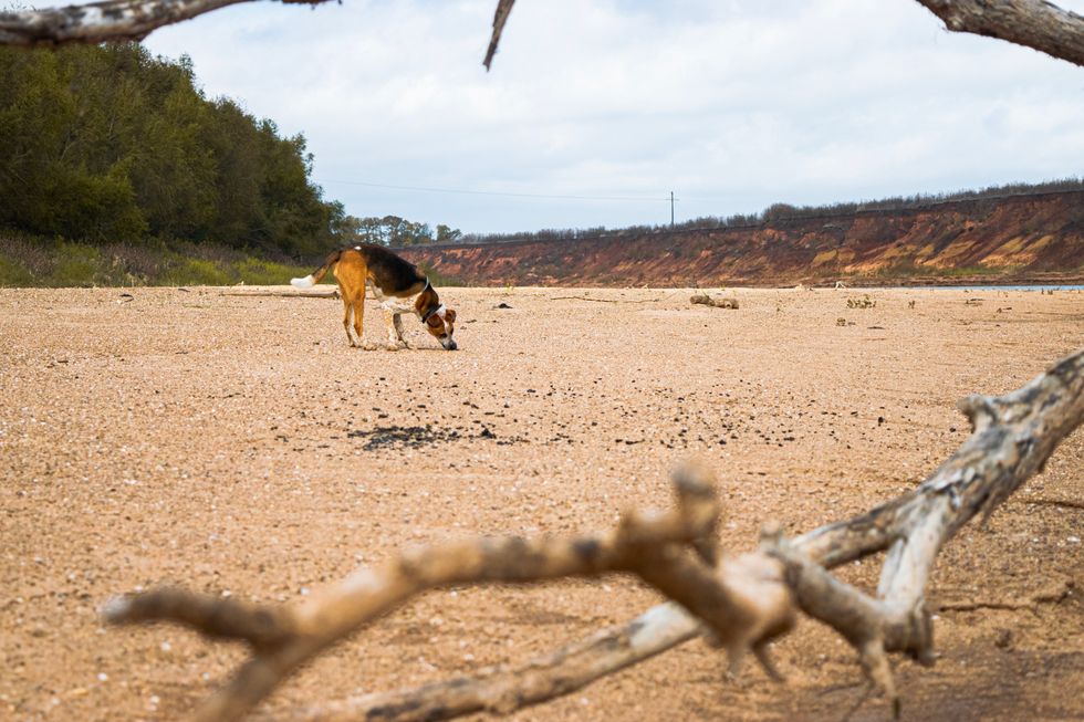 This Is What A Busy Season Looks Like For An Enneagram Type 7