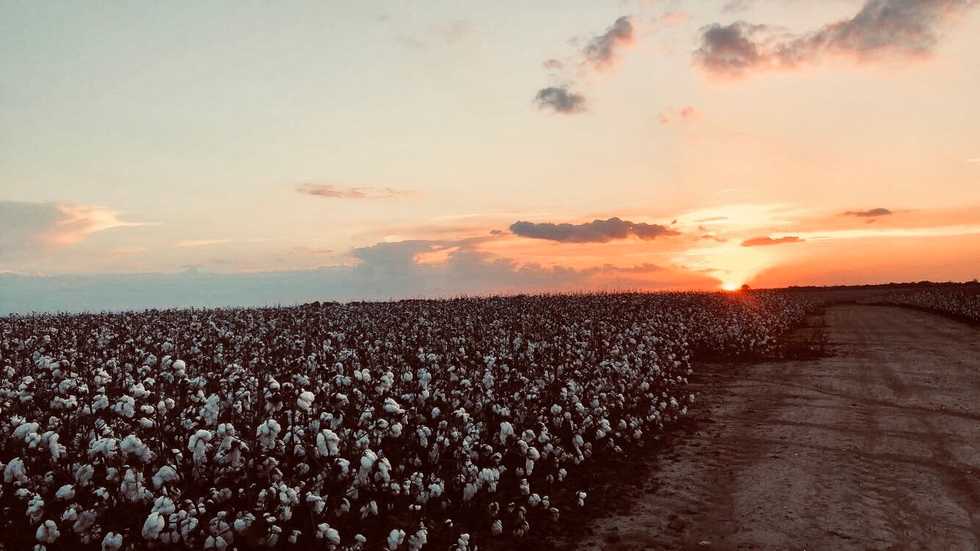 Why college is the best and worst thing