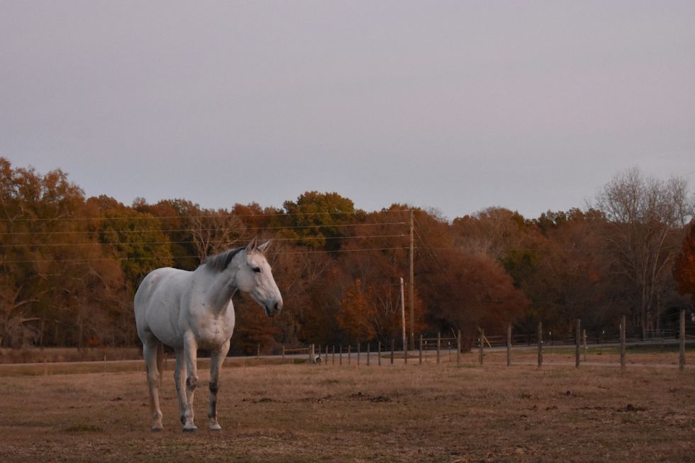 Contentment In The Midst Of Things