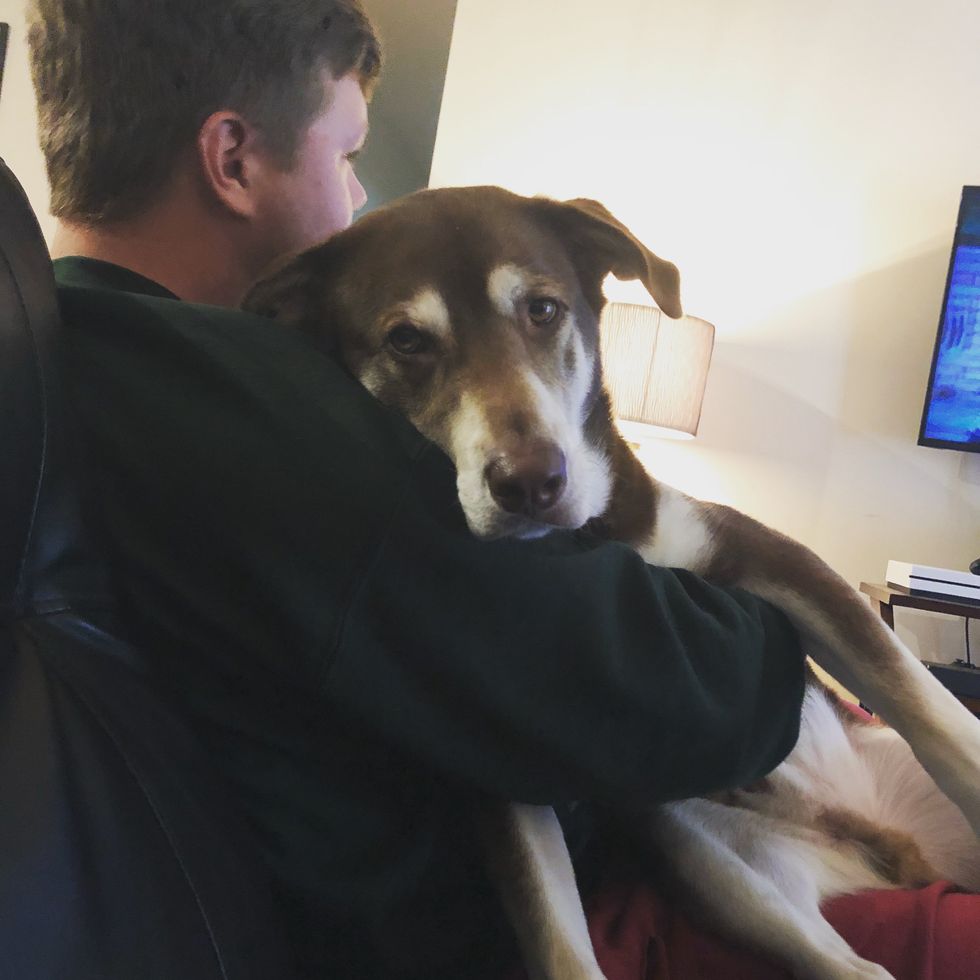 ​Law School Hopeful