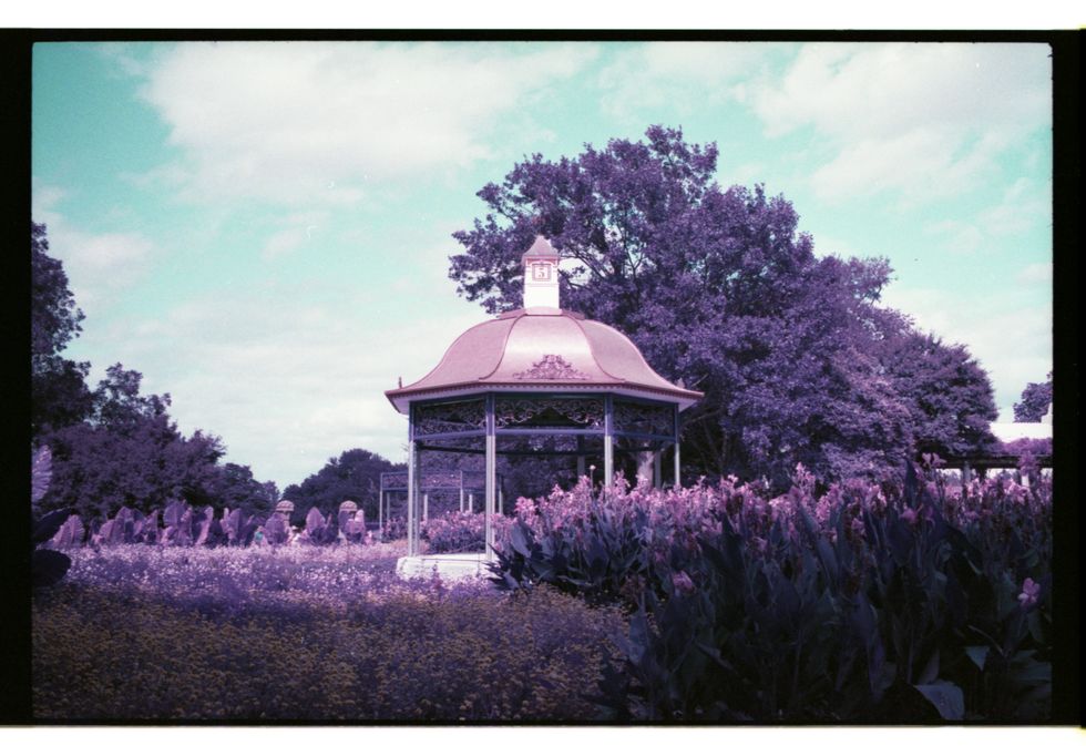 Analog Photography: Dallas, Texas on Lomochrome Purple