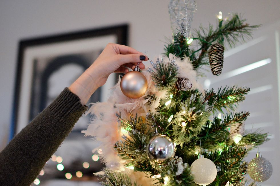 A College Girl's Guide To Picking The Perfect Christmas Tree