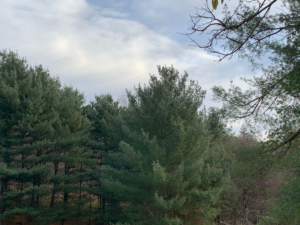 Studying Biology Made Me Appreciate All The Intricacies Of Life