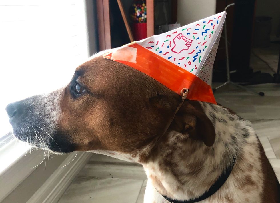 Happy Birthday Bucko, This One Is For You