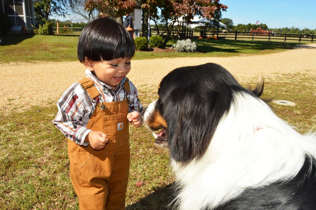 12 Reasons Having A Pet When You're A Kid Makes You A Better Grown-Up