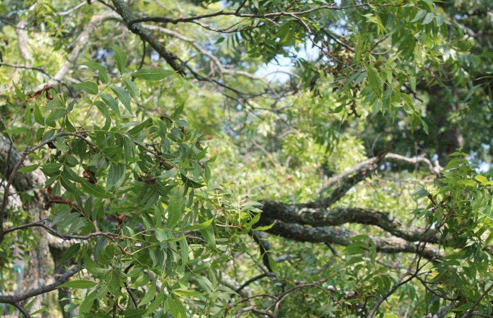 Photos and How They Got Here