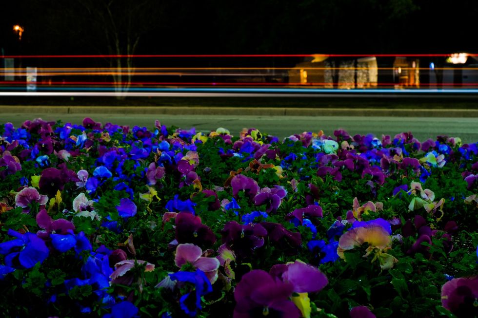 To The Breakup That Needed To Happen, I Hate You