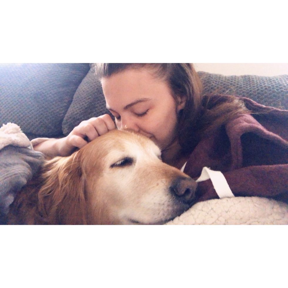 4 Reasons Why All Dogs Go To Heaven