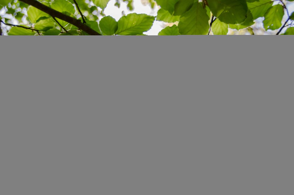 You Have To Remember Where You Started To Recognize How Far You Have Come