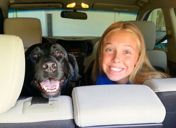 6 Reasons You'll Miss Out If You Buy Your Dog From A Breeder Instead Of Adopting A Rescue