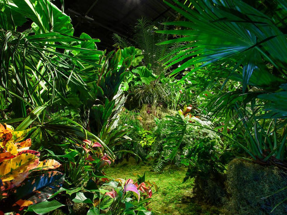 5 Things You Can Do To Help Our Planet