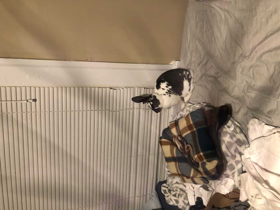 Why education majors can literally fuck off fuckin lesson plans my ass