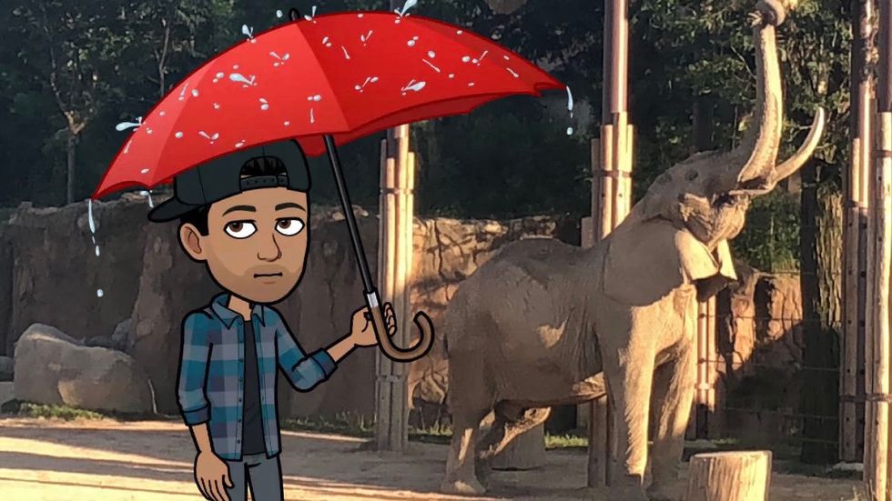 Working At The Zoo Storytime: Lions, Tigers, And Rain (Oh My)
