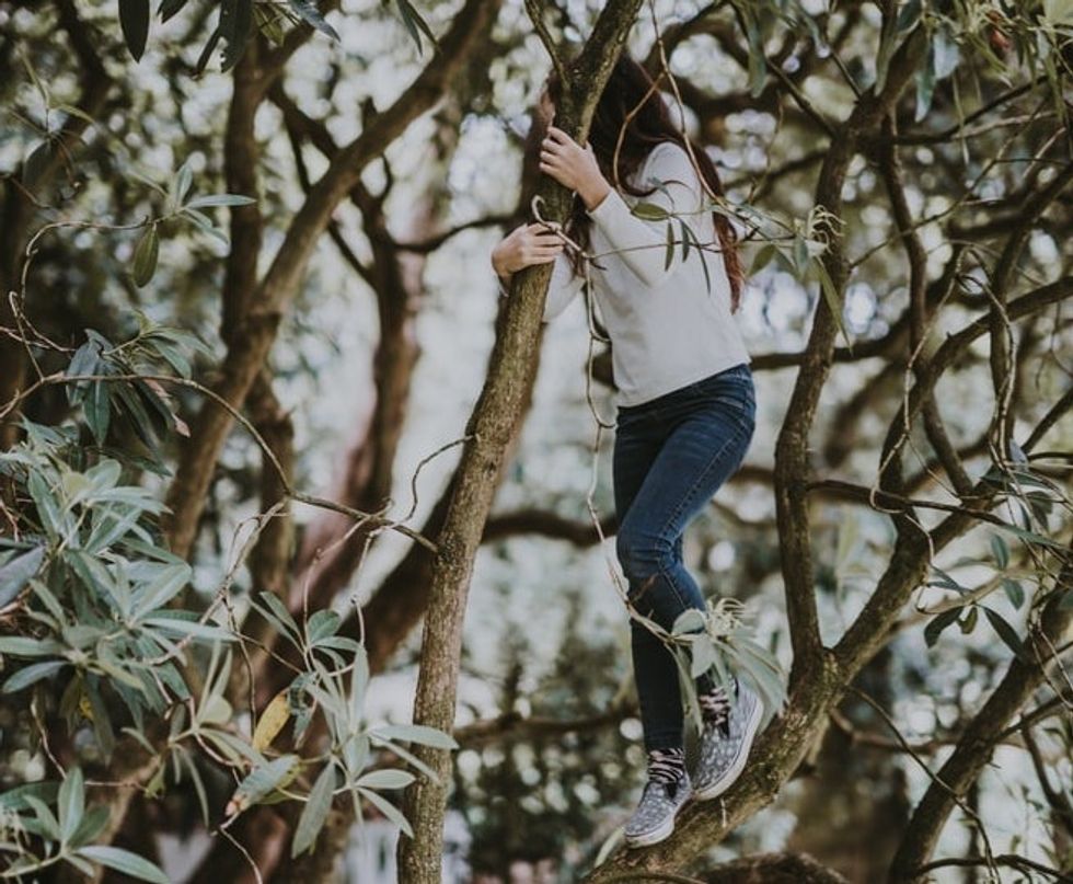 Branches and Bark: Climbing To Success