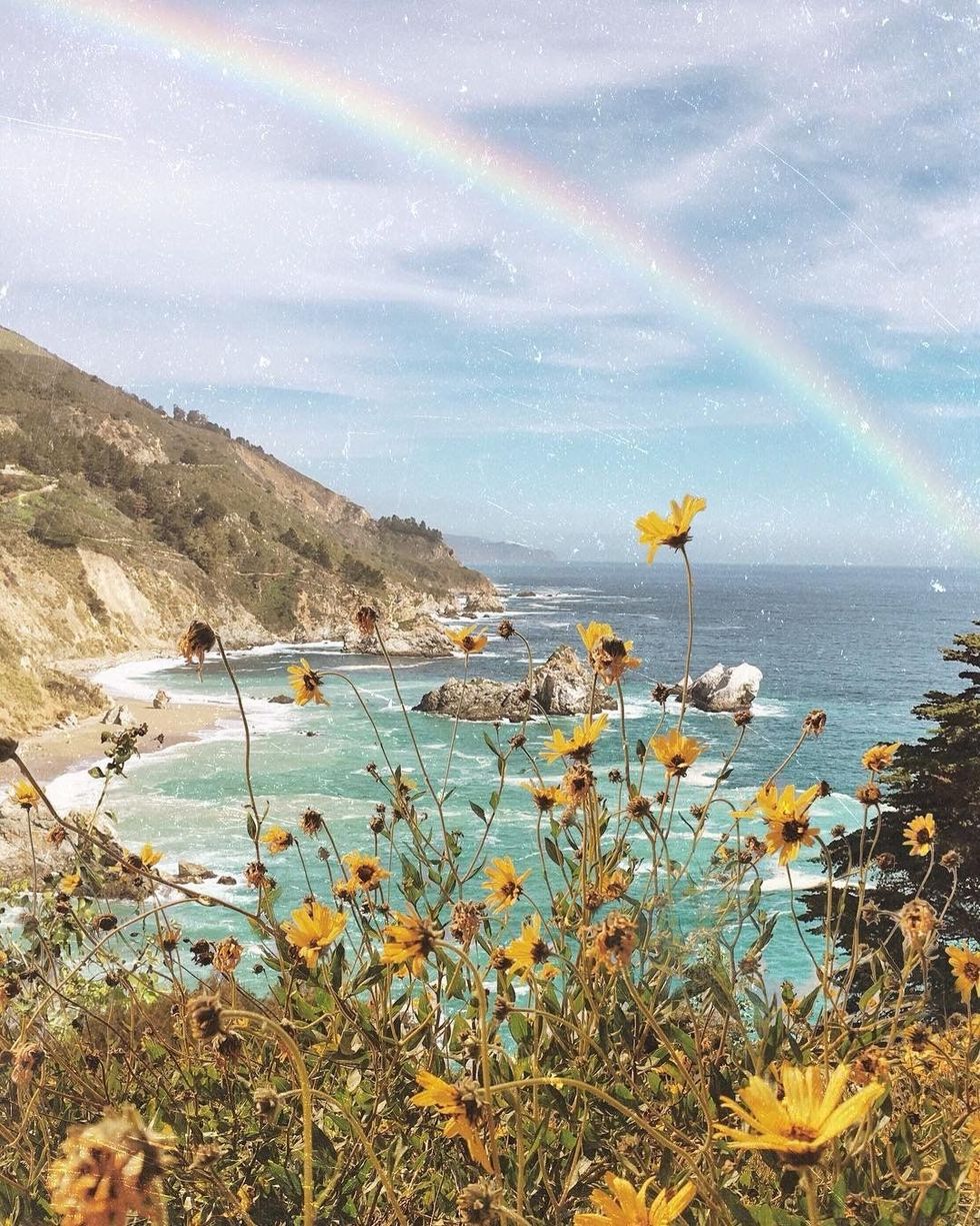 7 Products/Brands That Keep You & The Planet Cute